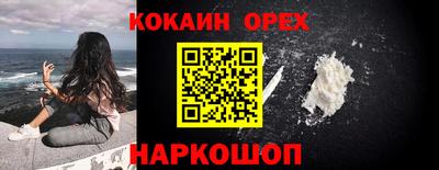 ешки Кингисепп