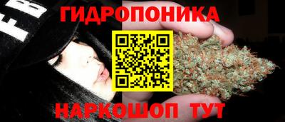 ешки Кингисепп