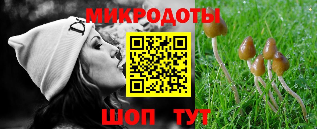 продажа наркотиков  Вход с VPN  Куйбышев  Псилоцибиновые грибы GOLDEN TEACHER 